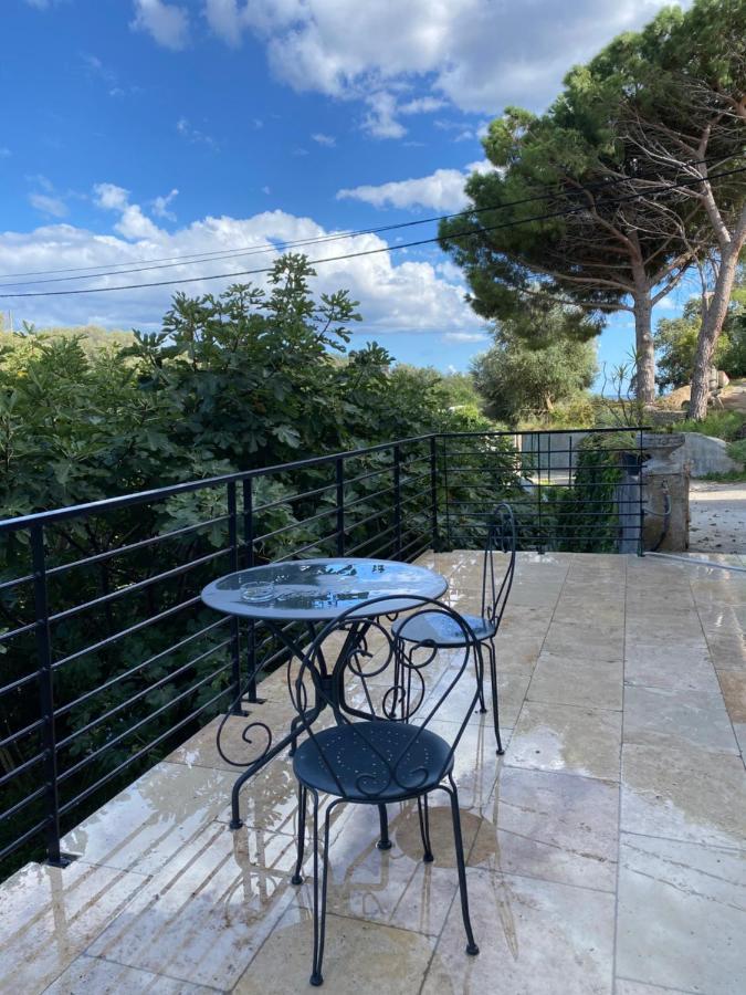 Home Sweet Home 2 Pieces 42 M2 Chambre, Salon, Cuisine, Grande Terrasse, Parking Proche Centre Ville Et Mer Μπαστιά Εξωτερικό φωτογραφία