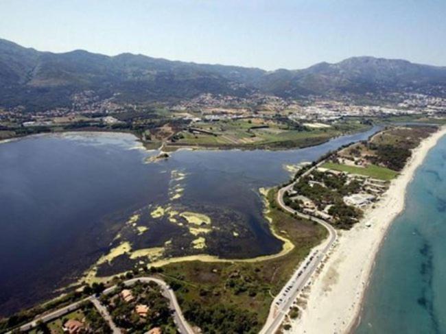 Home Sweet Home 2 Pieces 42 M2 Chambre, Salon, Cuisine, Grande Terrasse, Parking Proche Centre Ville Et Mer Μπαστιά Εξωτερικό φωτογραφία